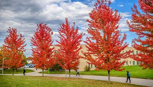 Students walking on campus in the fall